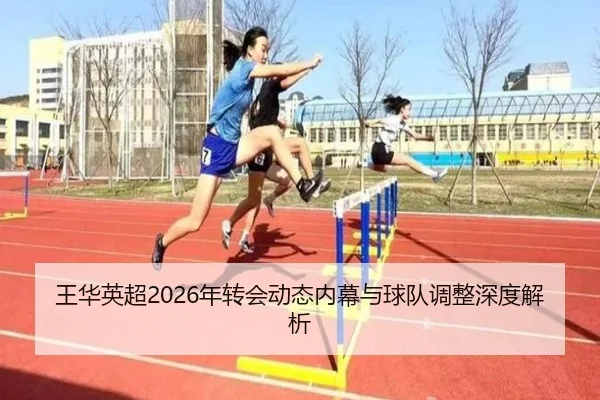 王华英超2026年转会动态内幕与球队调整深度解析