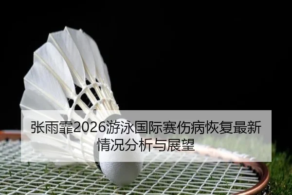 张雨霏2026游泳国际赛伤病恢复最新情况分析与展望