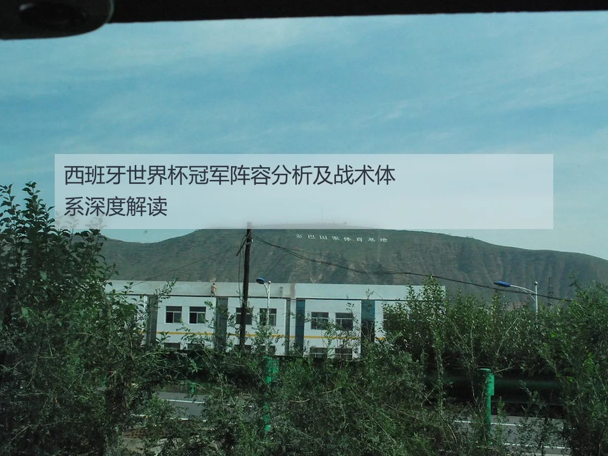 西班牙世界杯冠军阵容分析及战术体系深度解读