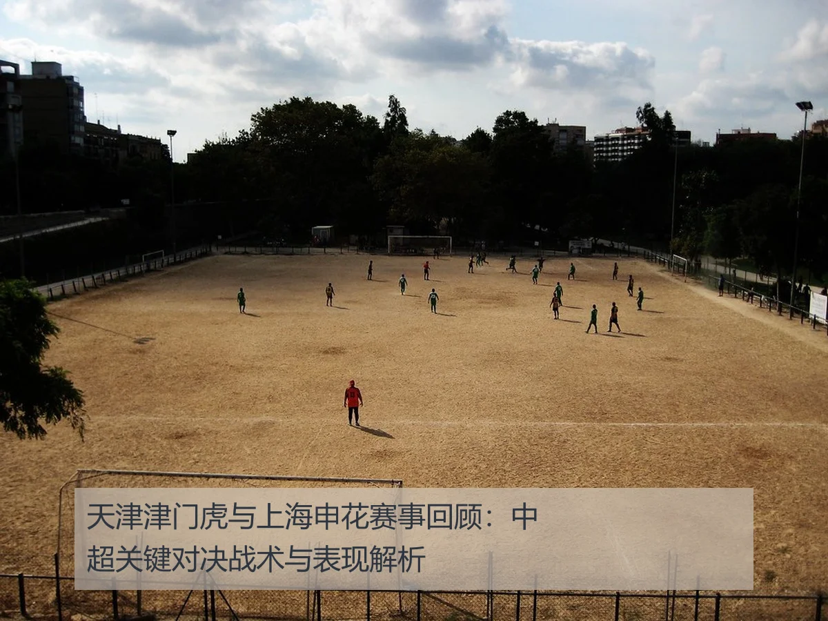 天津津门虎与上海申花赛事回顾：中超关键对决战术与表现解析